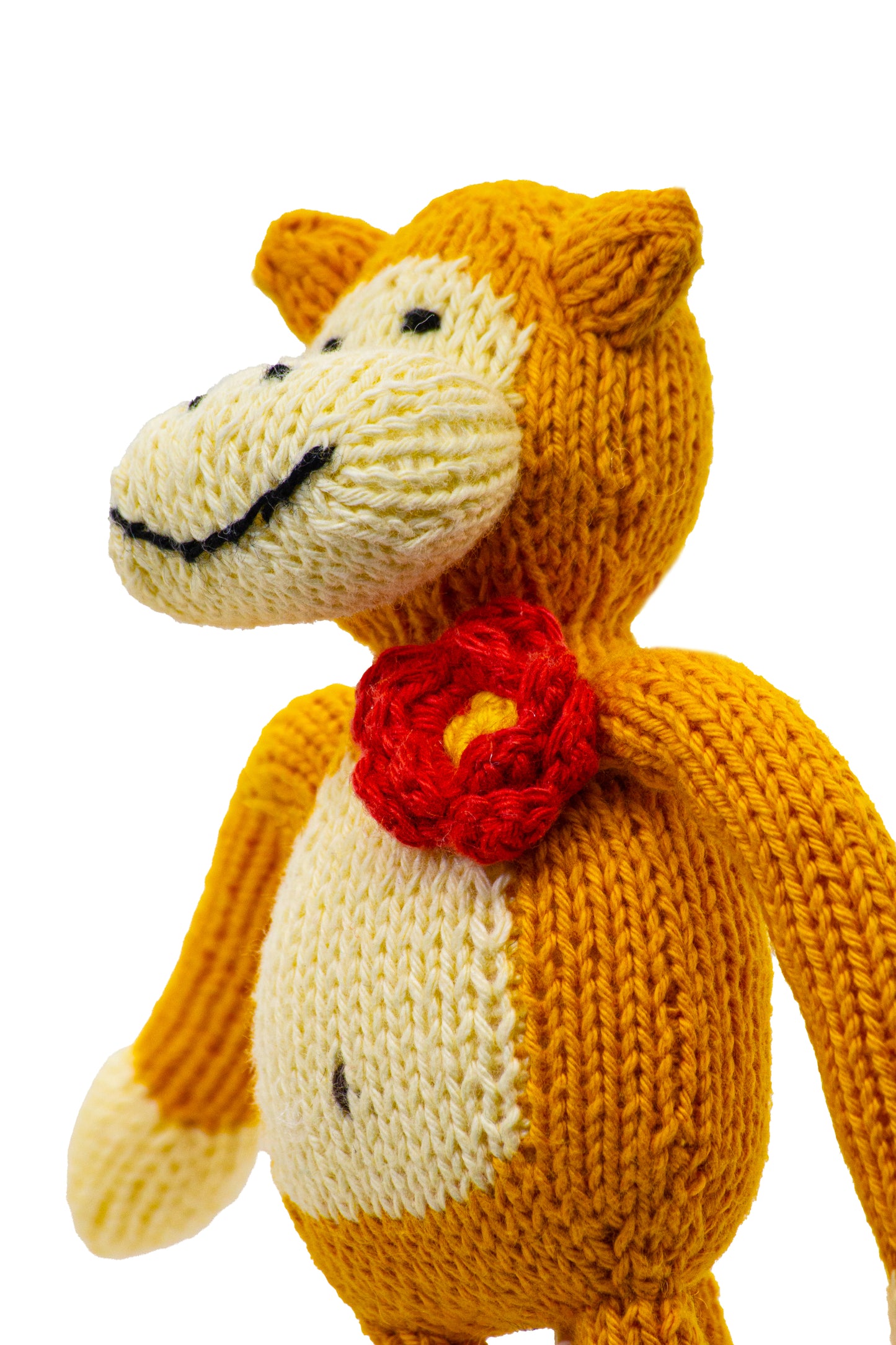 Lola The Monkey